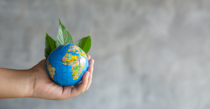 Pioneering Sustainable Business Practices: Global Management's CSR Commitment
